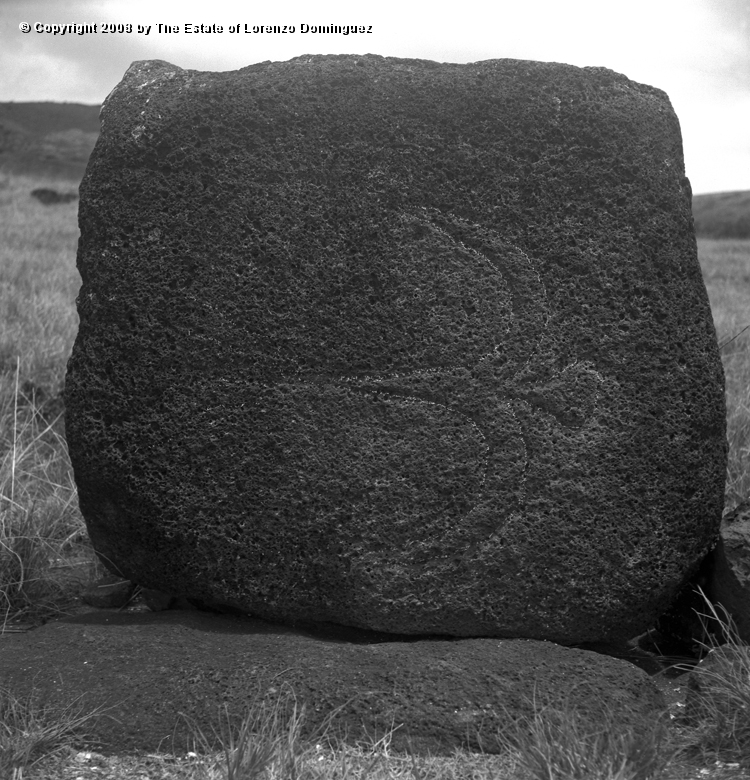 ANA_Pajaro_En_Vuelo_06.jpg - Easter Island. 1960. Anakena. Petroglyph over the paenga of an ahu representing a flying bird.